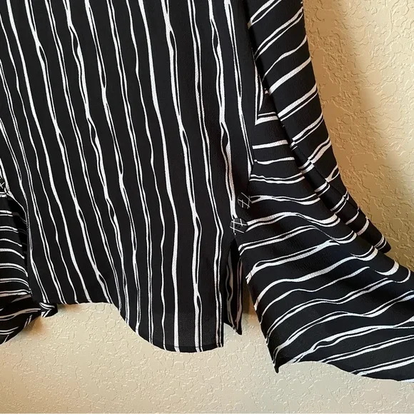 Niche Like New Blouse - Picture 5 of 6